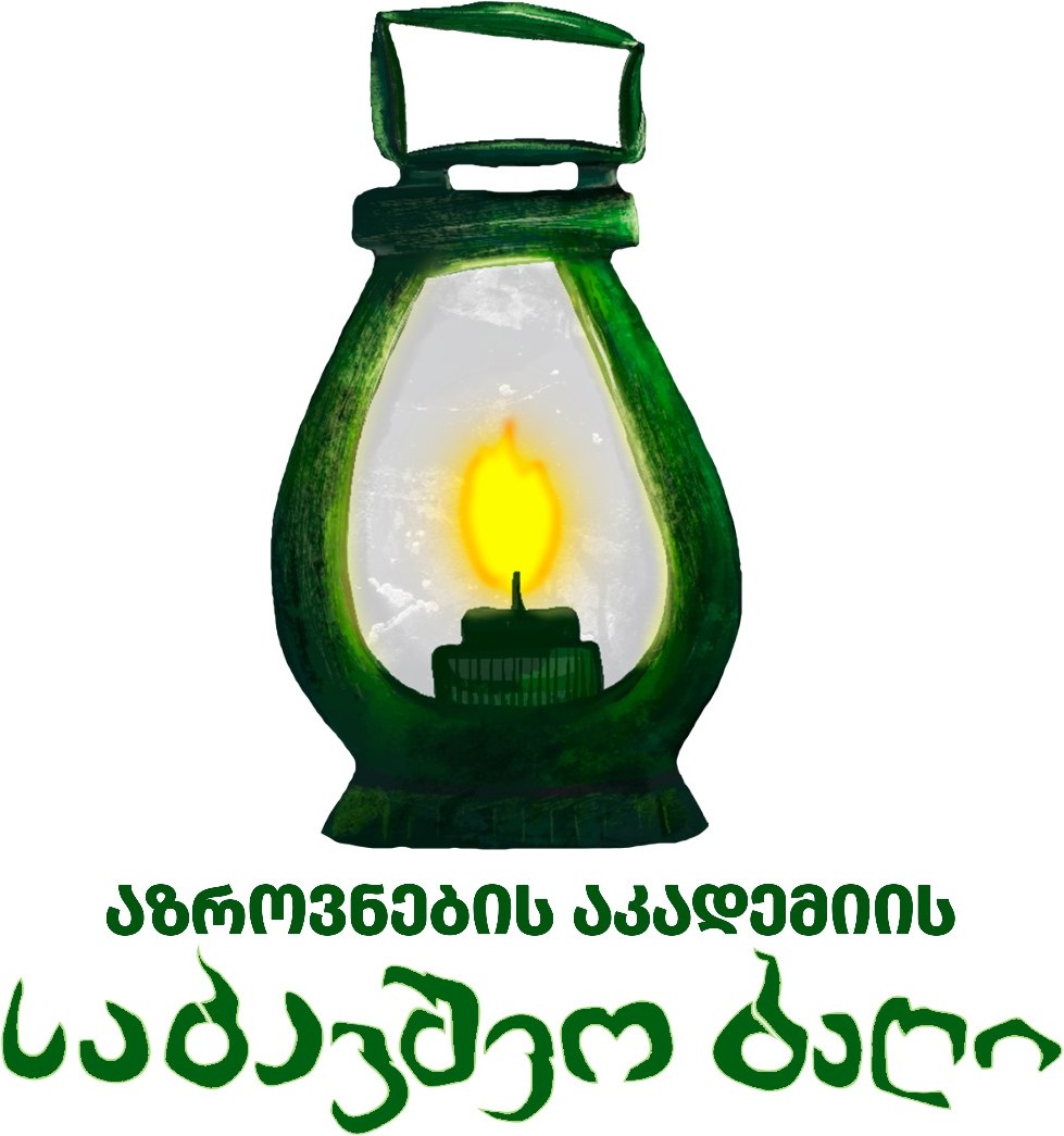 აზროვნების აკადემიის საბავშვო ბაღი — ლოგო