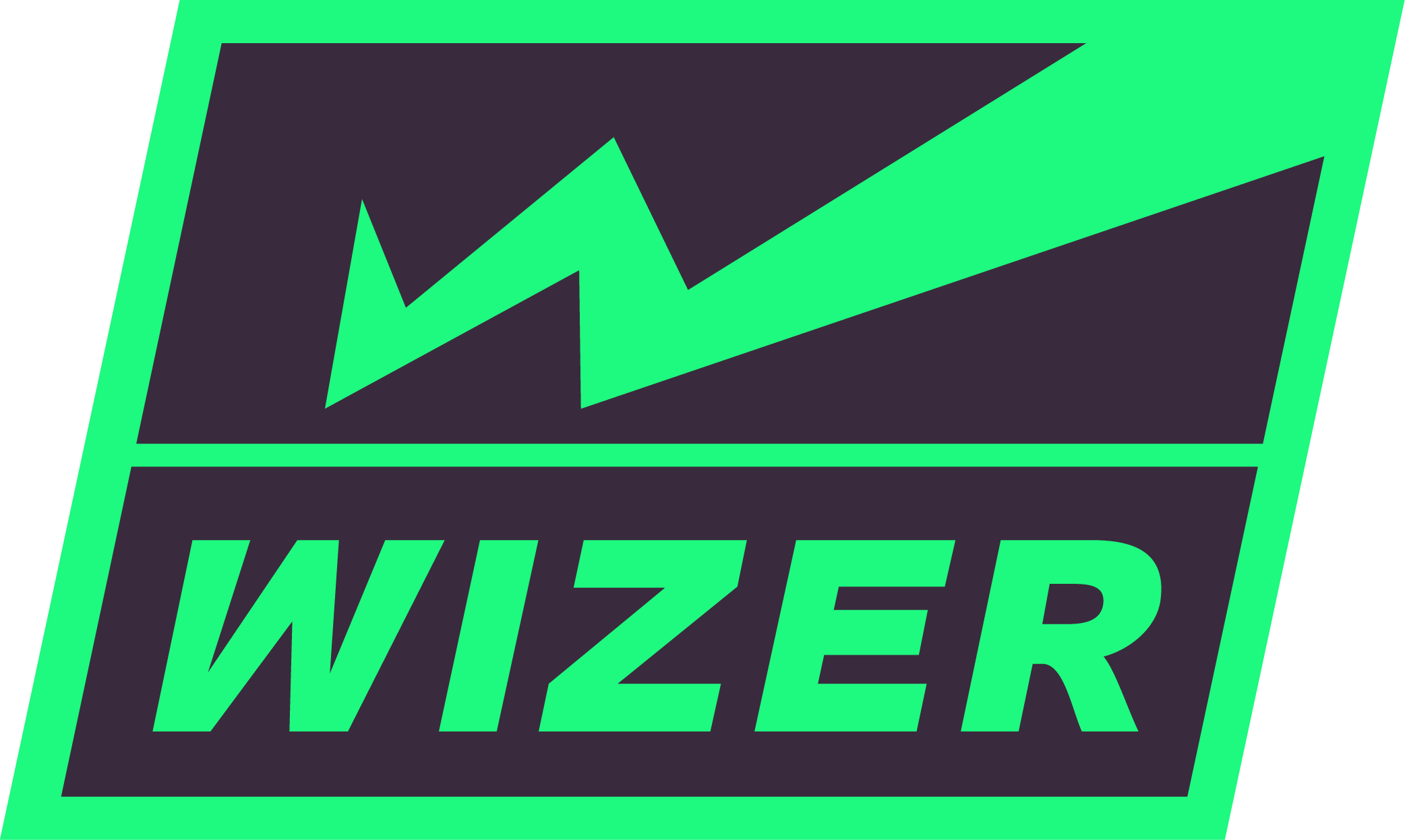 სადაზღვევო კომპანია ვაიზერი — ლოგო